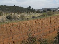 lors de la randonnée IMG 3261 (91)